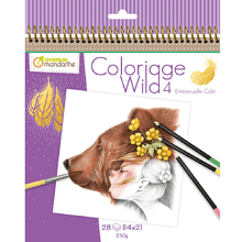 Раскраска на английском языке "Colouring book Wild 4", Emmanuelle Colin
