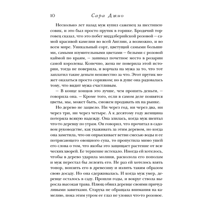 Книга "Последняя камелия", Сара Джио - 7