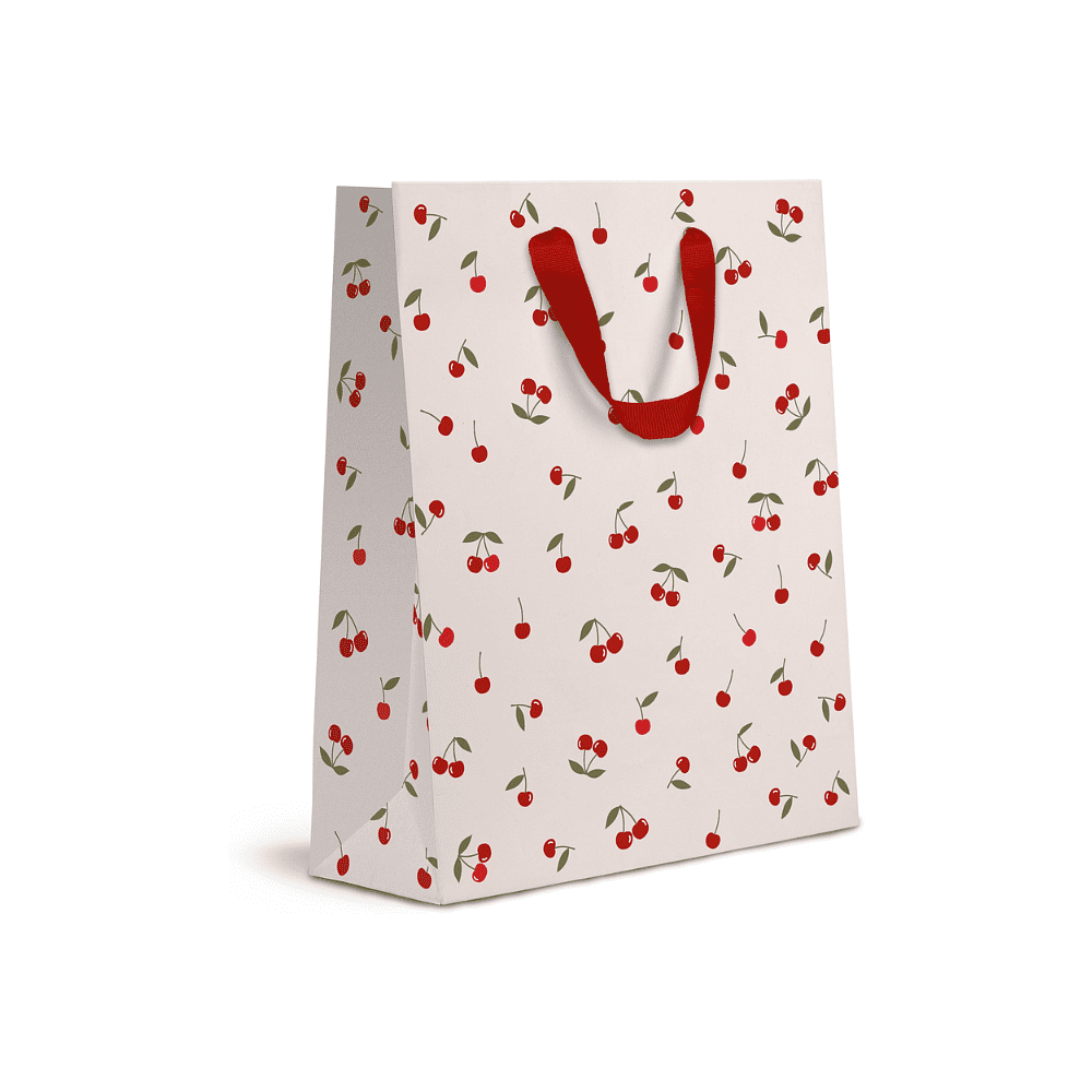 Пакет бумажный подарочный "Cherry Lady", 25.5х31.5х11 см, ассорти - 4