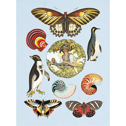 Книга на английском языке "The Antiquarian Sticker Book: An Illustrated Compendium of Adhesive Ephemera", Odd Dot - 6