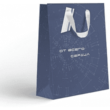 Пакет бумажный подарочный "Гравитация", 25.5х31.5х11 см