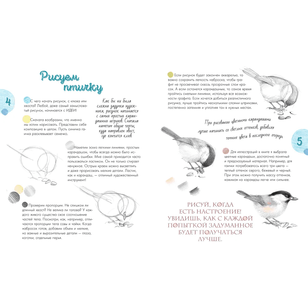 Книга "Птицы в городе. 25 историй в фактах и рисунках", Наталья Габеева - 2