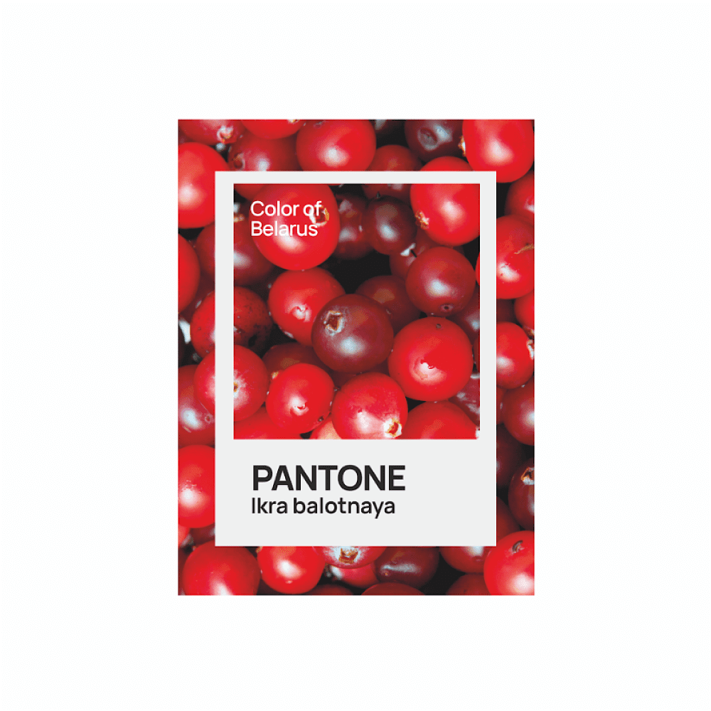 Блокнот «Color of Belarus. Pantone Ikra balotnaya», А5, 128 листов, в точку, белый, зеленый - 2