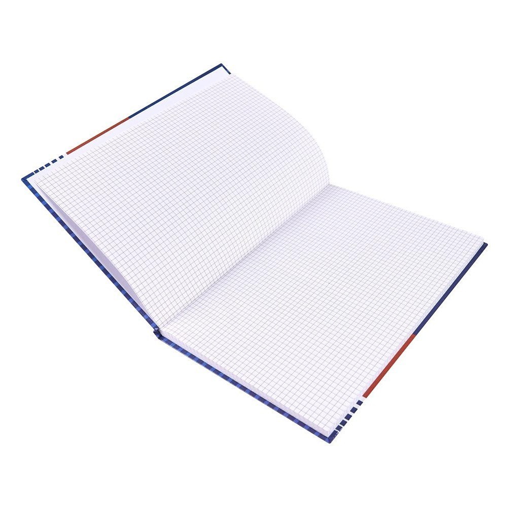 Книга канцелярская, A4, 100 листов, клетка, синий, красный - 3