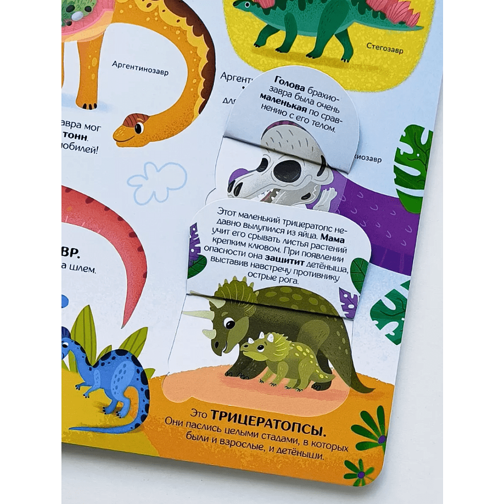 Книга "Книжка с окошками. Секреты динозавров" - 4