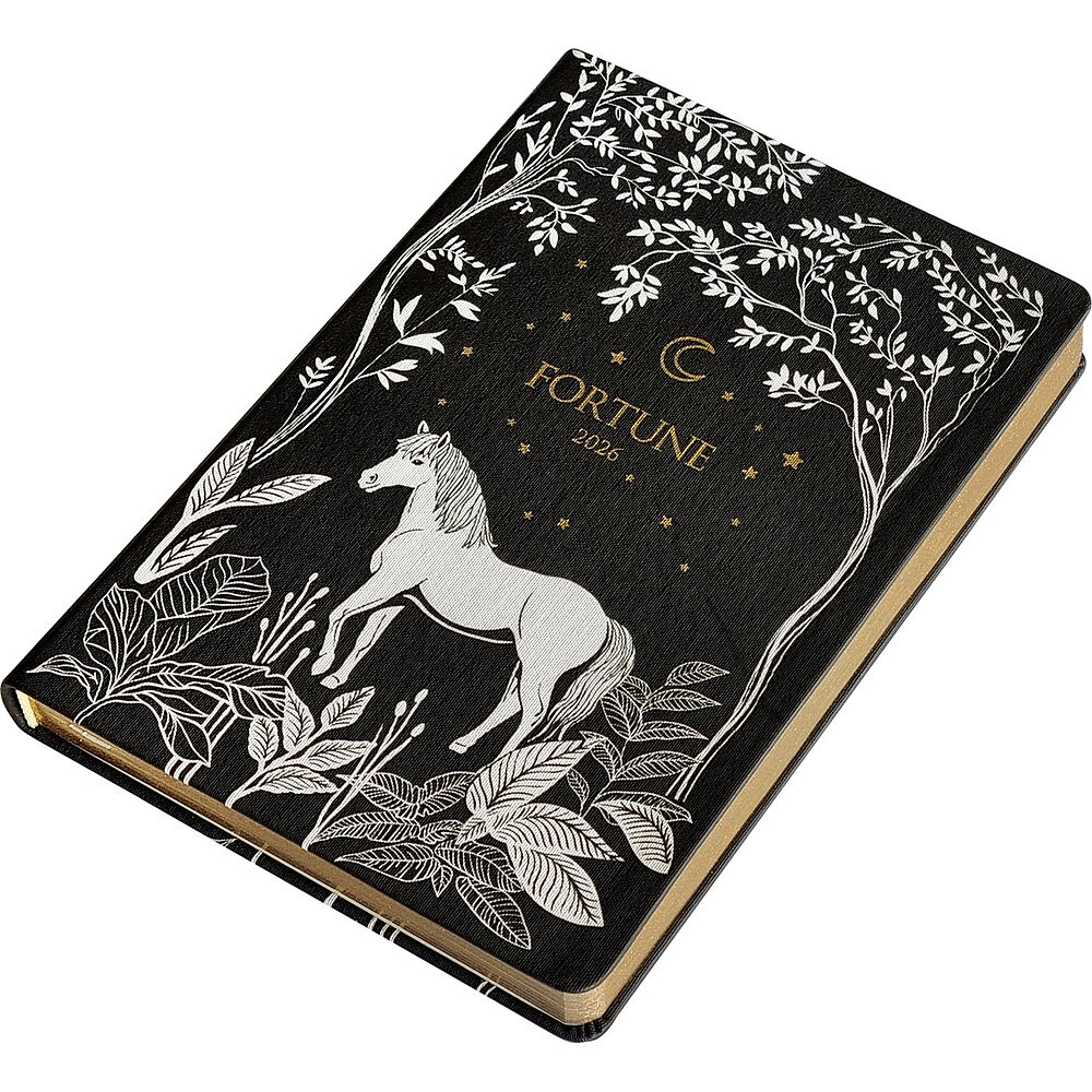 Ежедневник датированный "Fortune" на 2026 год, А5, черный - 2