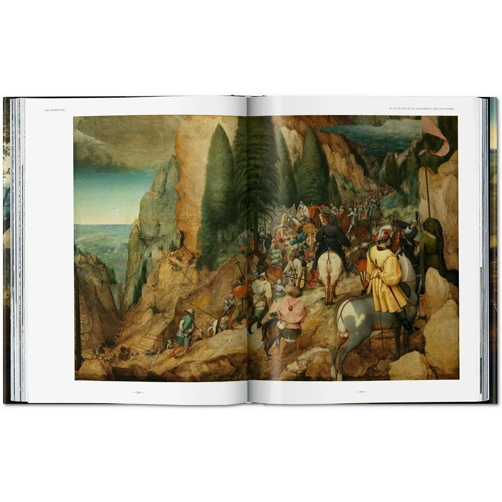 Книга на английском языке "Bruegel. The Complete Works", Jurgen Muller, Thomas Schauerte - 5