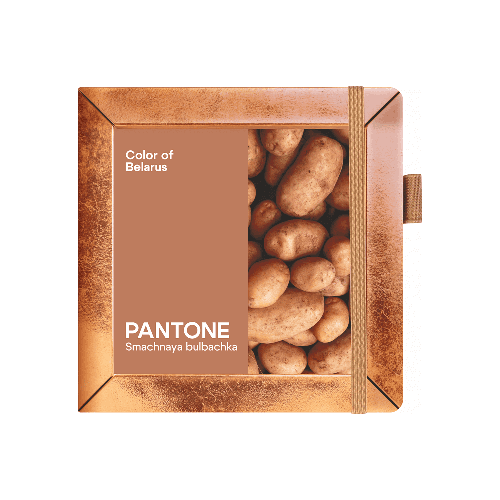 Скетчбук "Sketchmarker. Color of Belarus. Pantone Smachnaya bulbachka", 12х12 см, 140 г/м2, 80 листов, капучино