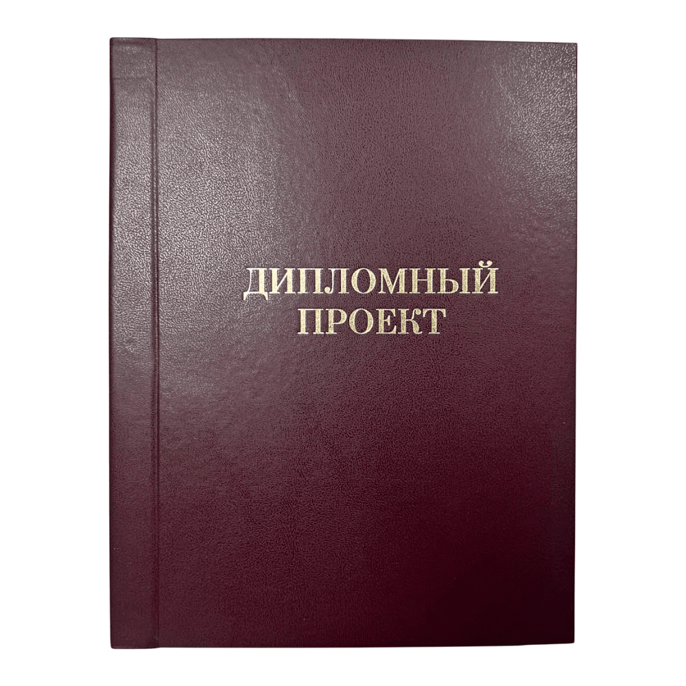 Папка для диплома "Дипломная работа", А4, 3 отверстия со шнурком, ассорти - 3