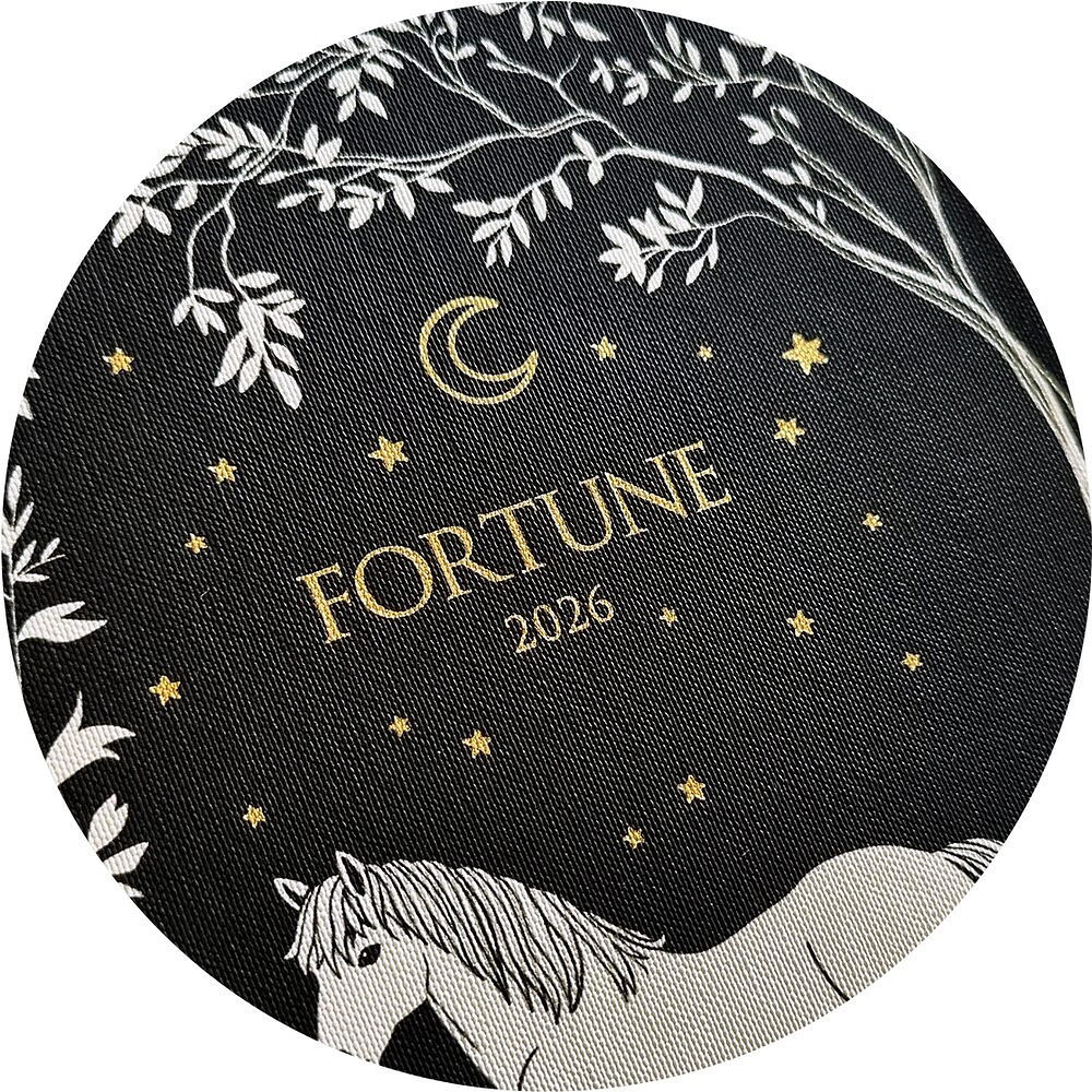Ежедневник датированный "Fortune" на 2026 год, А5, черный - 3