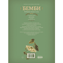 Книга "Бемби", Феликс Зальтен, илл. Бенжамен Лакомб