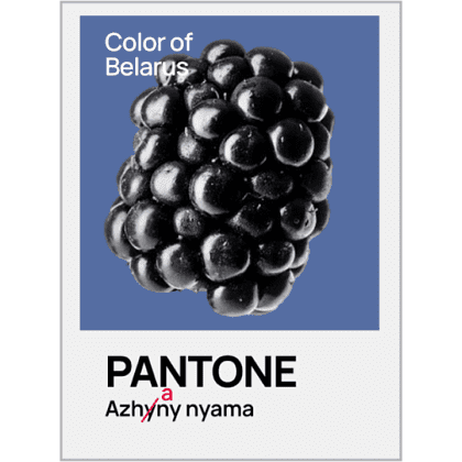 Кружка керамическая "Color of Belarus. Pantone Azhany nyama", 330 мл, белый - 2
