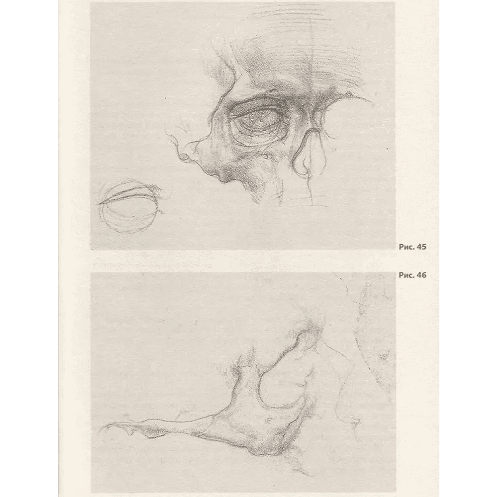 Книга "Анатомия для художников. Учебное пособие", Наталия Дудиева - 6