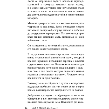 Книга "Кот с семью именами. Счастье приходит к тому, кто верит в чудеса", Федерико Сантаити - 8