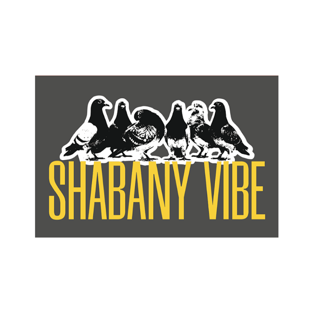 Магнит "Shabany vibe", 90х65 мм