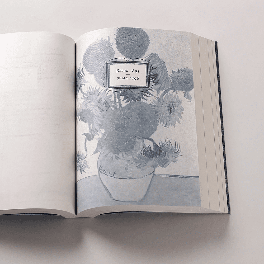 Книга "Спасая Винсента", Джоан Фернандес - 6