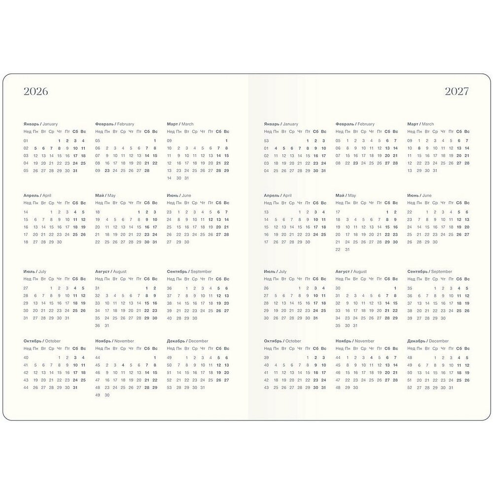 Ежедневник датированный "Fortune" на 2026 год, А5, черный - 5