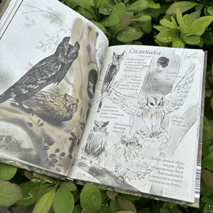 Книга "Птицы леса. Артбук", Geo Saiko, AquarelleWolf - 9