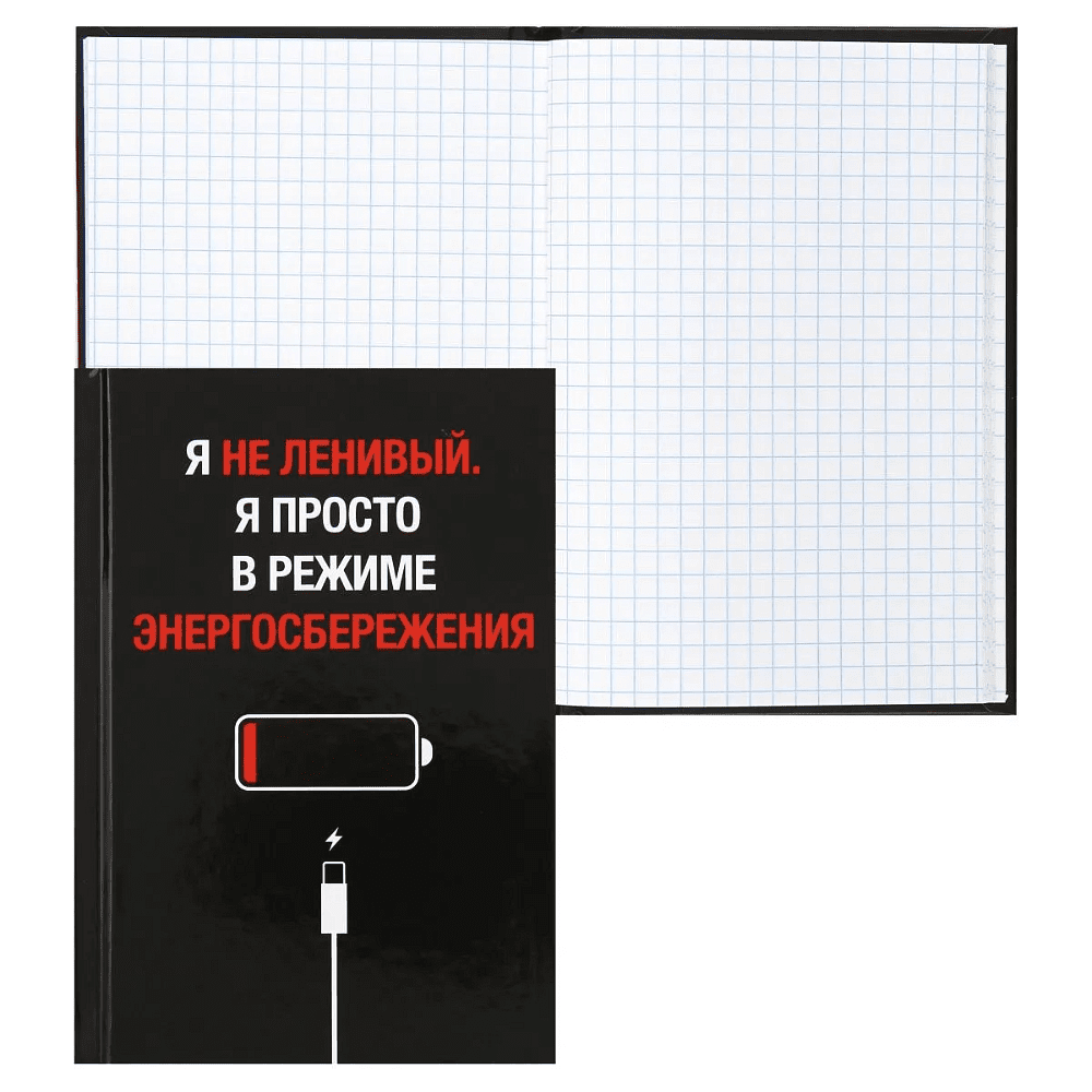 Книга записная "Энергосбережение", А6, 105x150 мм, 64 листа, в клетку, черный