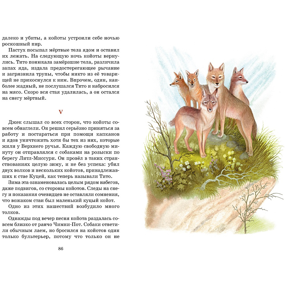 Книга "Классная литература. Рассказы о животных", Эрнест Сетон-Томпсон - 6