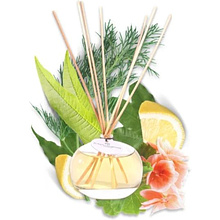 Диффузор ароматический PLANTES&PARFUMS "Fresh Verbena", 100 мл 