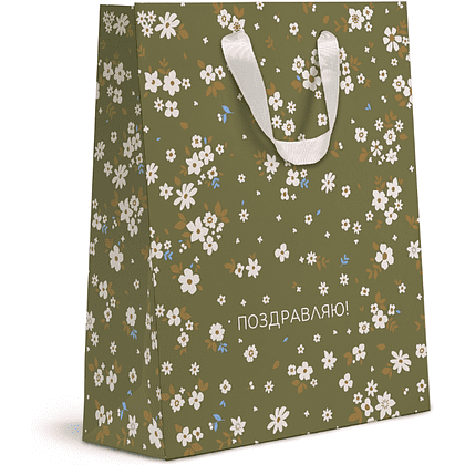 Пакет бумажный подарочный "Cherry Lady",18х22.7х10 см, ассорти - 4