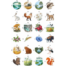 Набор наклеек объемных "Беларусь. Природа", А6, 4 листа, 24 шт