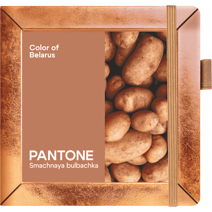 Скетчбук "Sketchmarker. Color of Belarus. Pantone Smachnaya bulbachka", 12х12 см, 140 г/м2, 80 листов, капучино