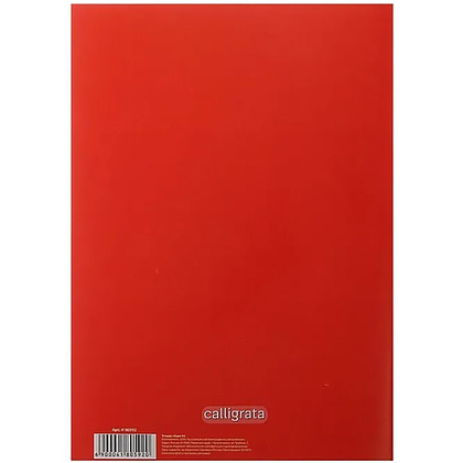 Тетрадь "Sарказм", А4, 48 листов, клетка, красный - 3