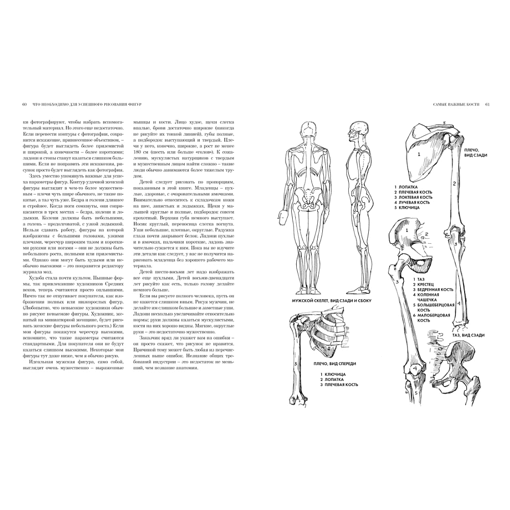 Книга "Рисование фигуры", Лумис Э. - 5