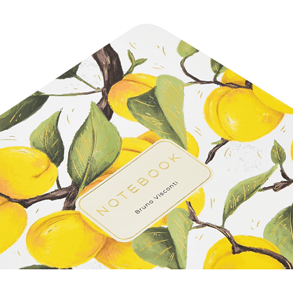 Тетрадь "Flora. Paradise. Абрикосы", A5, 40 листов, клетка, белый, желтый - 6