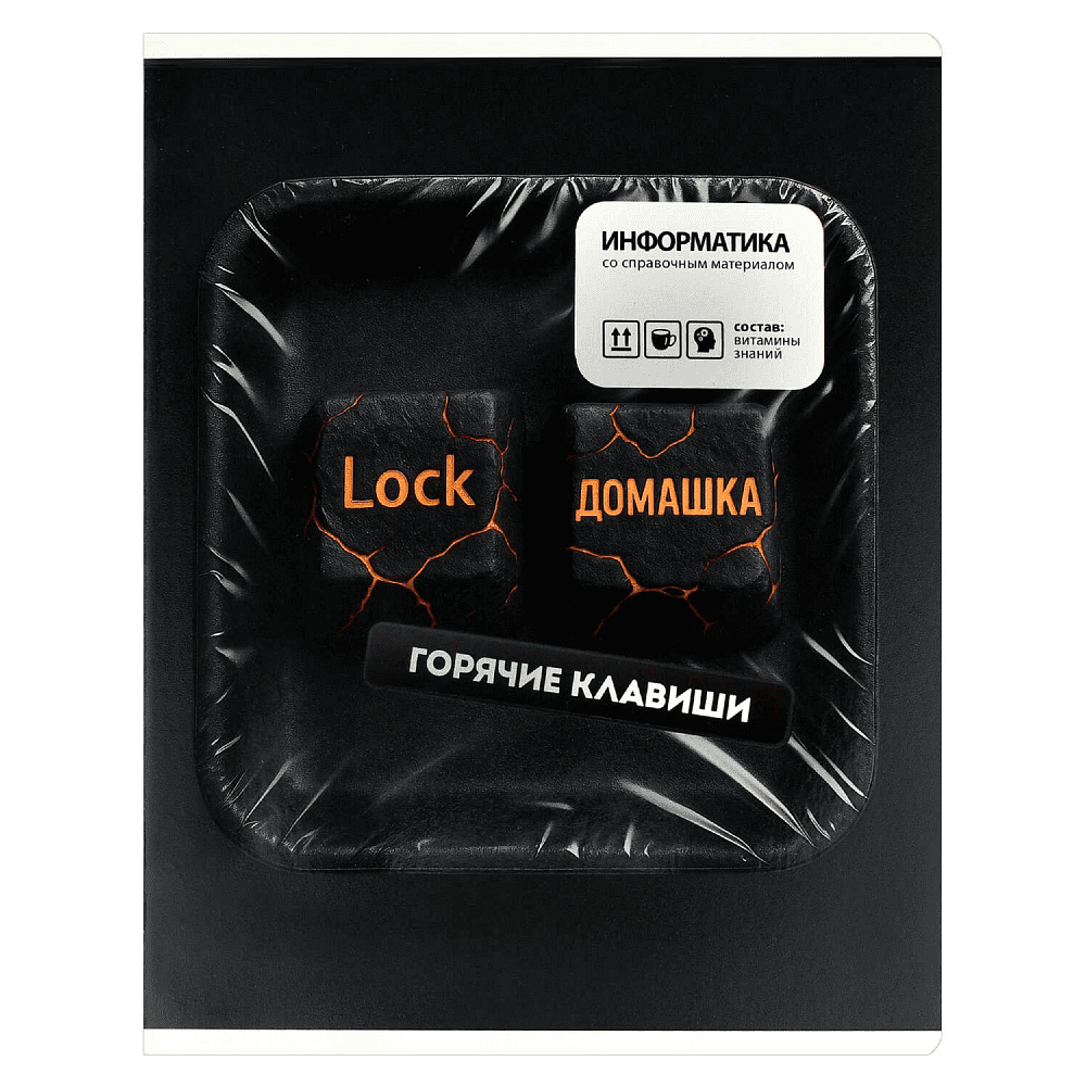 Тетрадь предметная "Горячие клавиши. Информатика", А5, 48 листов, клетка, черный
