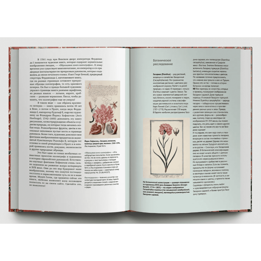 Книга  "Искусство и флора. От Аканта до Яблони", Ольга Козлова, Светлана Шехтер - 6