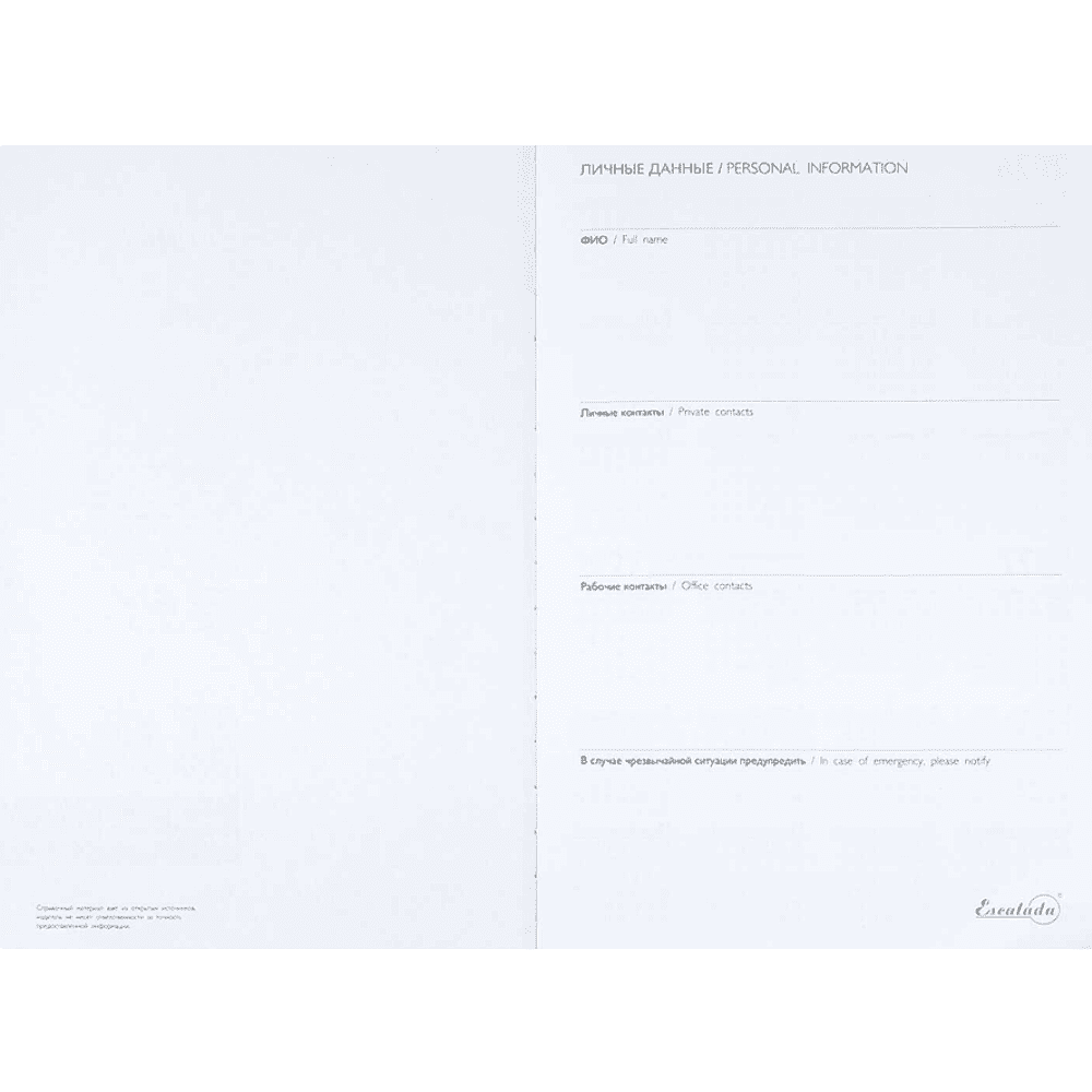 Ежедневник датированный "Шеврет глосс", А4, 240 страниц, черный, 2026 - 6