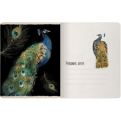 Тетрадь "Fauna. Animals", A5, 48 листов, клетка, ассорти - 3