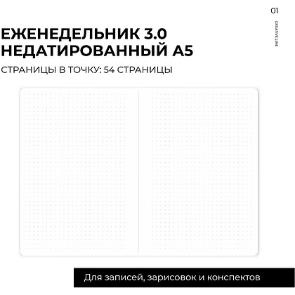 Еженедельник недатированный "MyPPlanner 3.0 Creative", А5, 240 страниц, темно-серый - 11