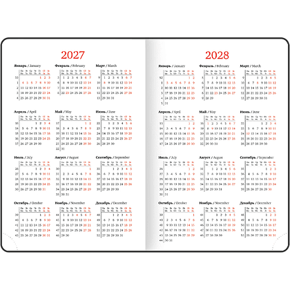 Ежедневник датированный "Ice" на 2027 год, А5, 352 страницы, линейка - 6