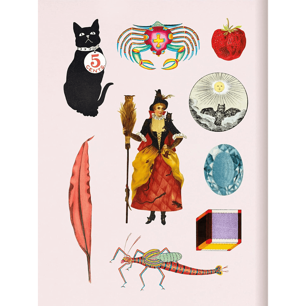 Книга на английском языке "The Antiquarian Sticker Book: Bibliophilia", Odd Dot - 3