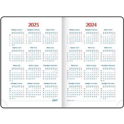 Ежедневник датированный "Ritter", А5, 336 страниц, черный, 2023 - 11