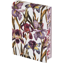 Блокнот "Flora. Ирисы", A6, 250 листов, нелинейный, склейка сверху, белый, розовый