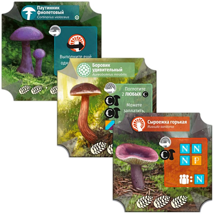 Игра настольная "Грибы и корни" - 4