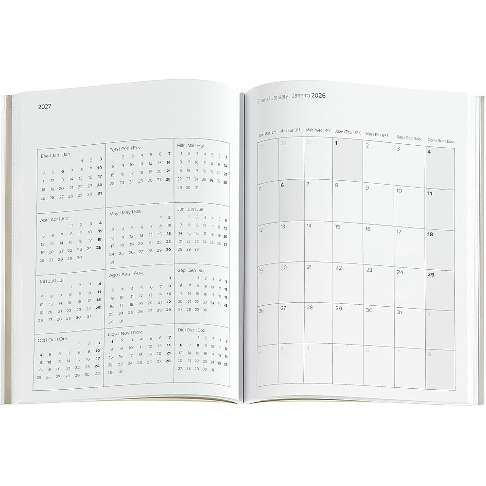 Ежедневник датированный "Basic Squares. Silver" 2026, A6, линейка, серый - 3