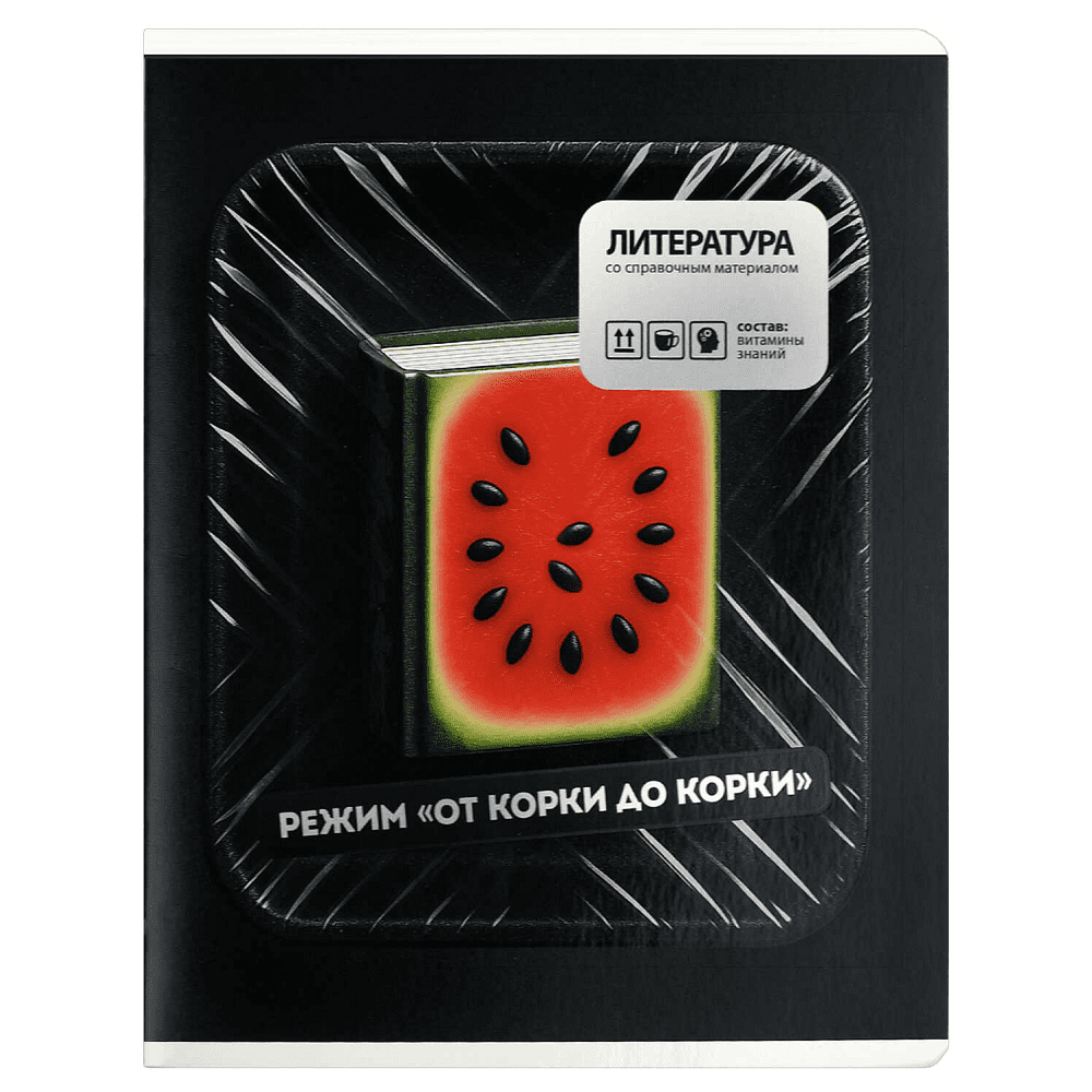 Тетрадь предметная "Режим "от корки до корки". Литература", А5, 48 листов, линейка