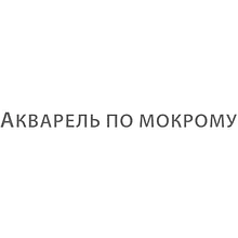 Книга "Мастерская художника. Акварельная техника по-мокрому", Наталья Перевалова
