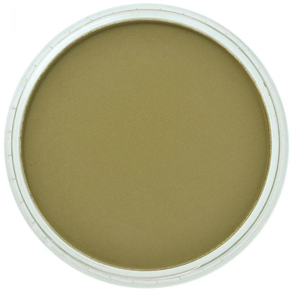 Ультрамягкая пастель "PanPastel", 220.1 ганза желтая темная, 9мл