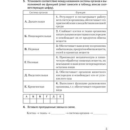 Биология. 8 класс. Рабочая тетрадь, Бедарик И. Г., Бедарик А. Е. - 3