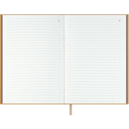 Ежедневник недатированный "Аспид Глосс", А6+, 320 страниц, линейка, пепельно-розовый - 3