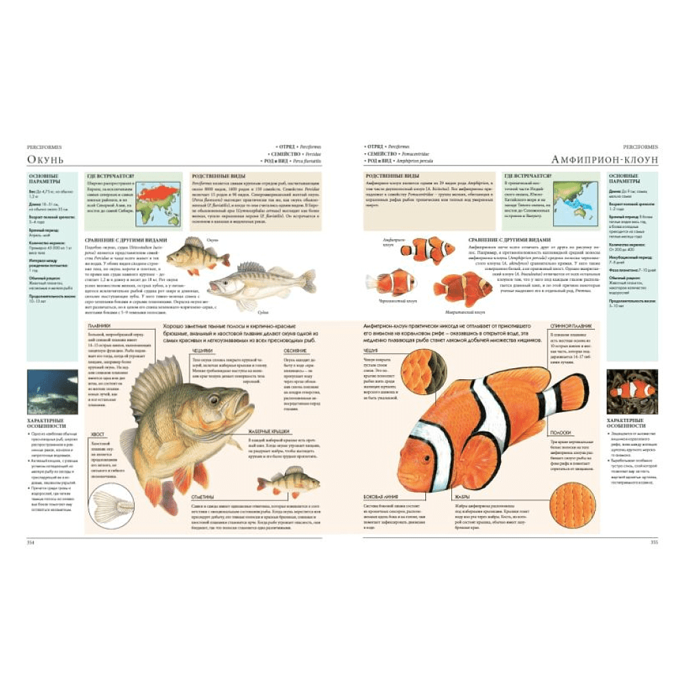 Книга "Животные мира. Моя большая энциклопедия" - 5