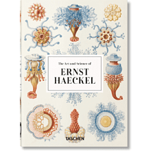 Книга на английском языке "The Art and Science of Ernst Haeckel", Rainer Willmann