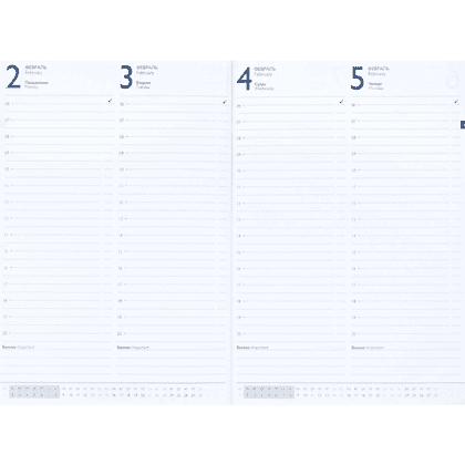 Ежедневник датированный "Шеврет глосс", А4, 240 страниц, бордовый, 2026 - 9